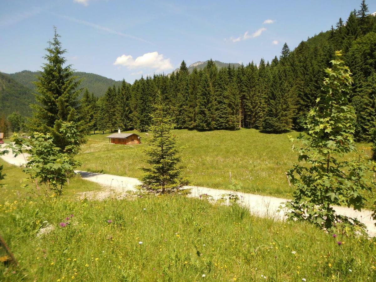 Seewiesenalm Reit im Winkl Exteriör bild